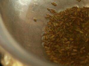 Adding Fennel seeds