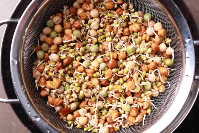 Rinsing Fresh Sprouts