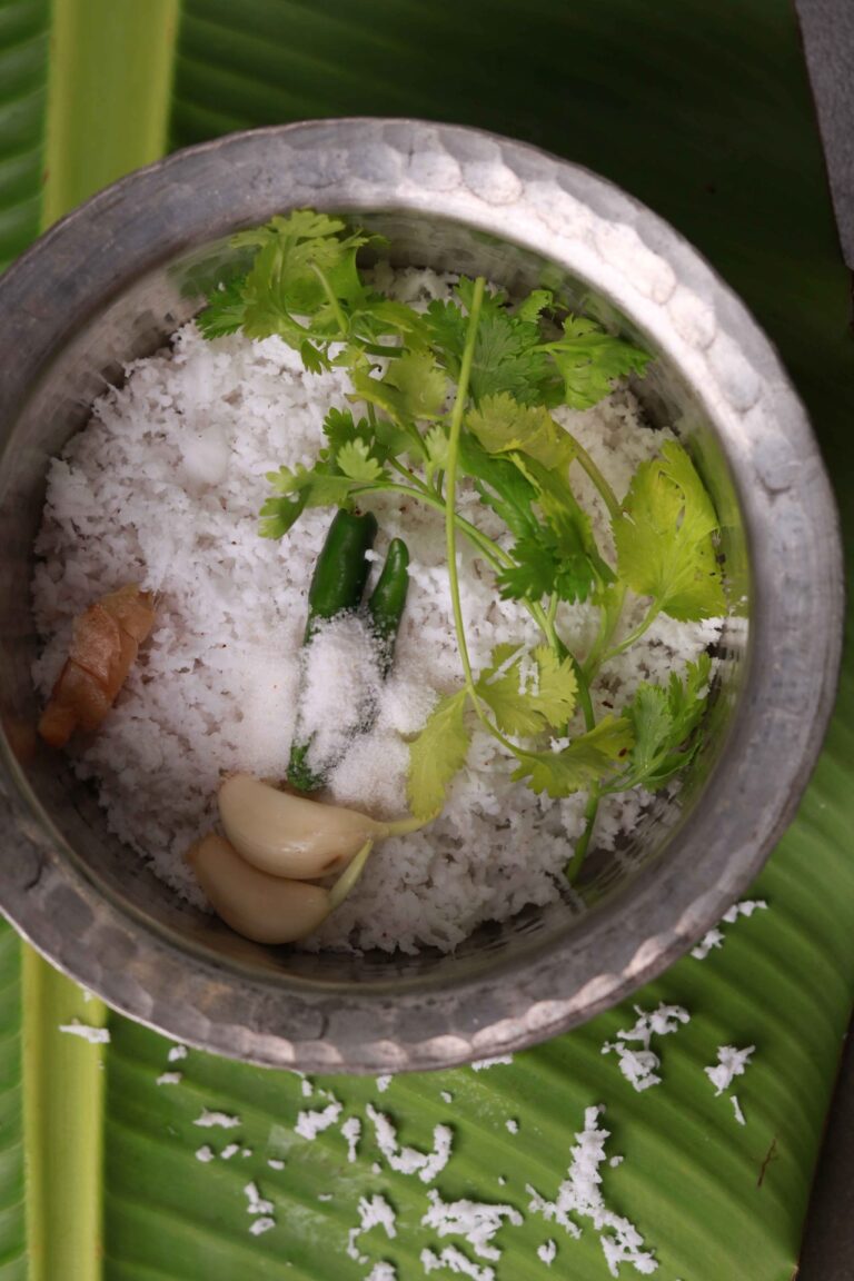 Fresh coconut ingredients close-up