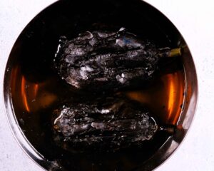 Roasted brinjal submerged in water.