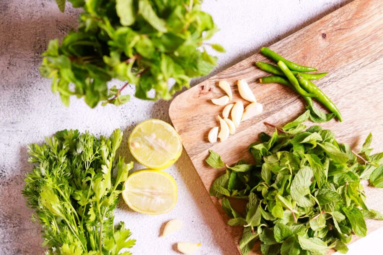 Fresh coriander cleaning