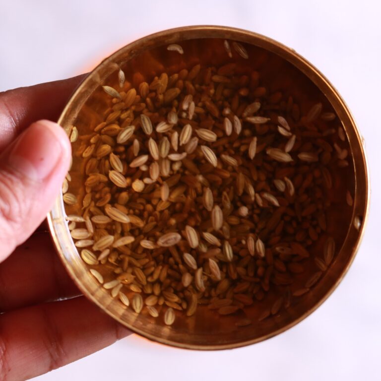 Fennel seeds soaking