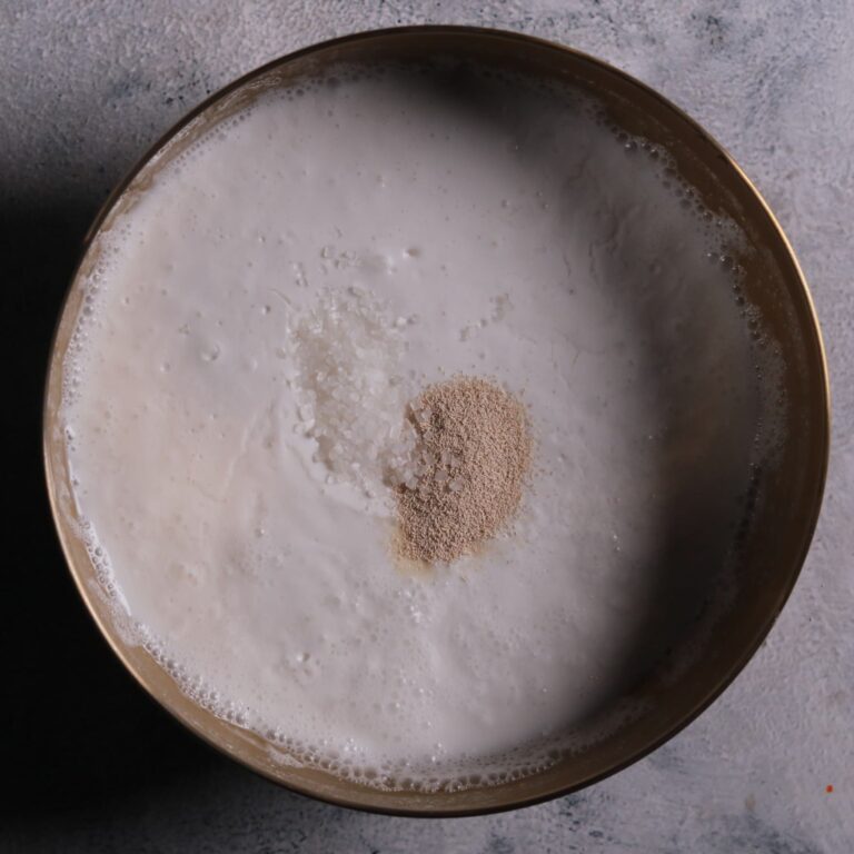 Fermenting rice batter